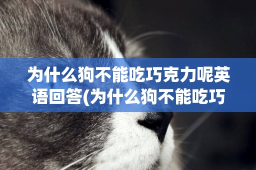 為什么狗不能吃巧克力呢英語回答(為什么狗不能吃巧克力和奶油呢30個字) 