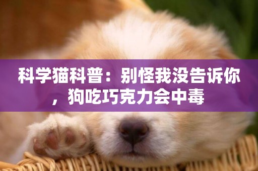 科學貓科普：別怪我沒告訴你，狗吃巧克力會中毒 