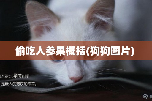 偷吃人參果概括(狗狗圖片) 
