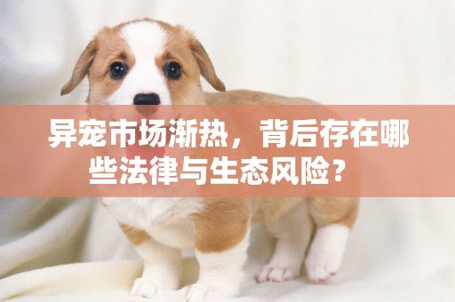 異寵市場漸熱，背后存在哪些法律與生態風險？ 