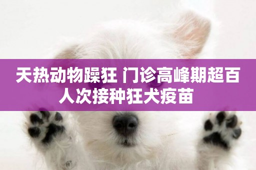 天熱動物躁狂 門診高峰期超百人次接種狂犬疫苗 