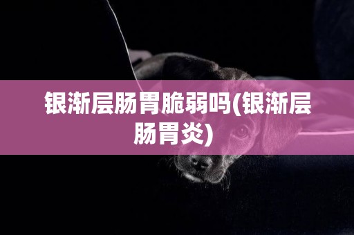 銀漸層腸胃脆弱嗎(銀漸層腸胃炎) 