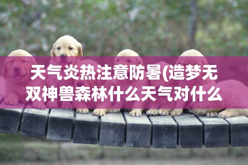 天氣炎熱注意防暑(造夢無雙神獸森林什么天氣對什么寵物) 