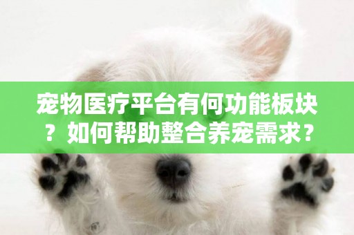 寵物醫療平臺有何功能板塊？如何幫助整合養寵需求？ 