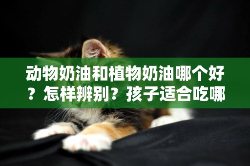 動物奶油和植物奶油哪個好？怎樣辨別？孩子適合吃哪種？ 