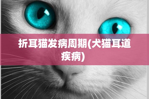 折耳貓發病周期(犬貓耳道疾病) 