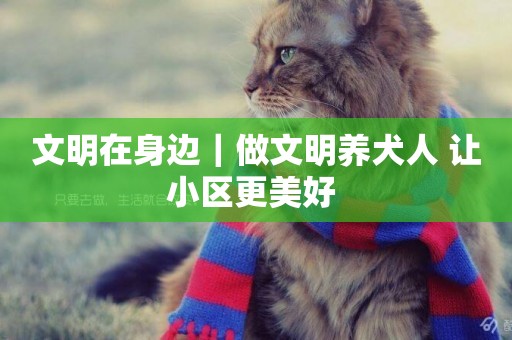 文明在身邊｜做文明養犬人 讓小區更美好 
