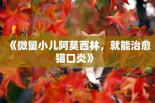 《微量小兒阿莫西林，就能治愈貓口炎》 