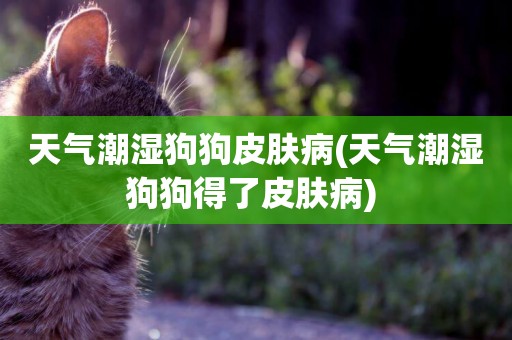 天氣潮濕狗狗皮膚病(天氣潮濕狗狗得了皮膚病) 