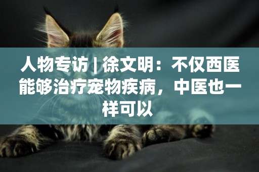 人物專訪 | 徐文明：不僅西醫能夠治療寵物疾病，中醫也一樣可以 