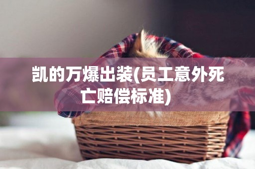 凱的萬爆出裝(員工意外死亡賠償標準) 