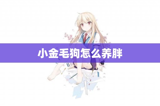 小金毛狗怎么養胖
