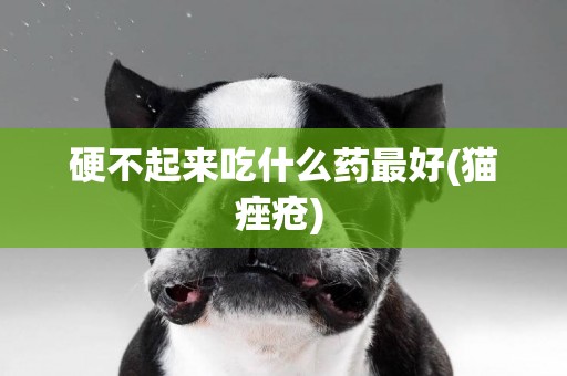硬不起來吃什么藥最好(貓痤瘡) 