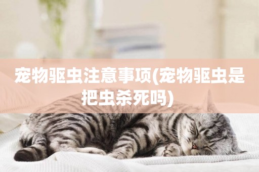 寵物驅蟲注意事項(寵物驅蟲是把蟲殺死嗎) 