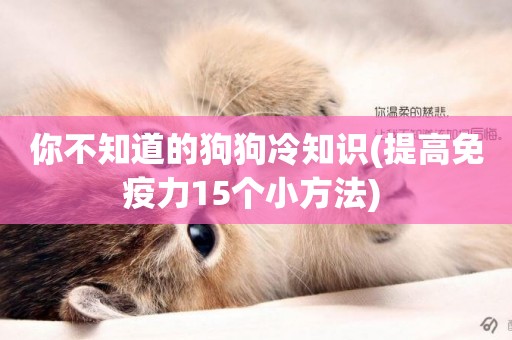 你不知道的狗狗冷知識(提高免疫力15個小方法) 
