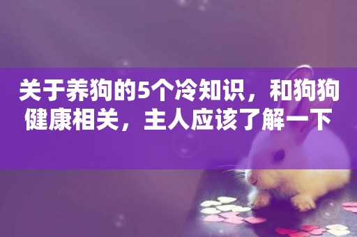 關于養狗的5個冷知識，和狗狗健康相關，主人應該了解一下 