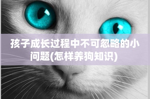孩子成長過程中不可忽略的小問題(怎樣養狗知識) 