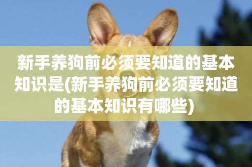 新手養狗前必須要知道的基本知識是(新手養狗前必須要知道的基本知識有哪些) 