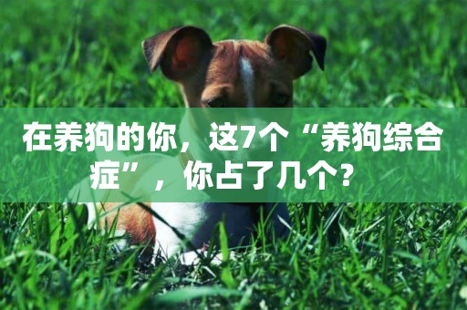 在養狗的你，這7個“養狗綜合癥”，你占了幾個？ 