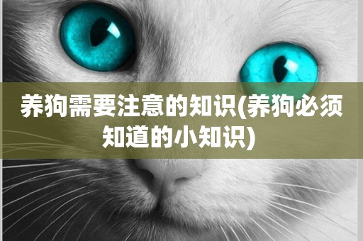 養狗需要注意的知識(養狗必須知道的小知識) 