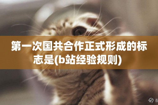 第一次國共合作正式形成的標志是(b站經驗規則) 