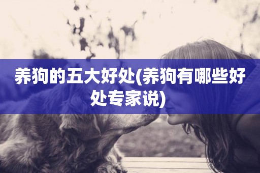 養狗的五大好處(養狗有哪些好處專家說) 