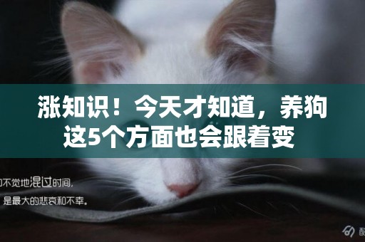 漲知識！今天才知道，養狗這5個方面也會跟著變 