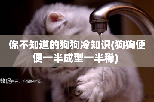 你不知道的狗狗冷知識(狗狗便便一半成型一半稀) 