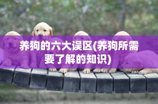 養狗的六大誤區(養狗所需要了解的知識) 
