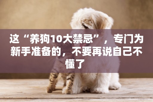 這“養狗10大禁忌”，專門為新手準備的，不要再說自己不懂了 