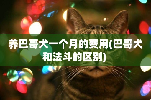 養巴哥犬一個月的費用(巴哥犬和法斗的區別) 