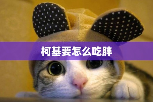 柯基要怎么吃胖