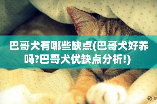 巴哥犬有哪些缺點(巴哥犬好養嗎?巴哥犬優缺點分析!) 