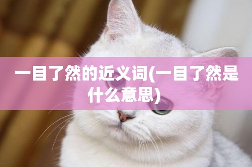 一目了然的近義詞(一目了然是什么意思) 