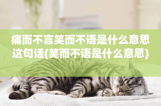 痛而不言笑而不語是什么意思這句話(笑而不語是什么意思) 