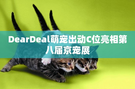 DearDeal萌寵出動C位亮相第八屆京寵展