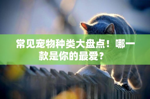 常見寵物種類大盤點！哪一款是你的最愛？ 