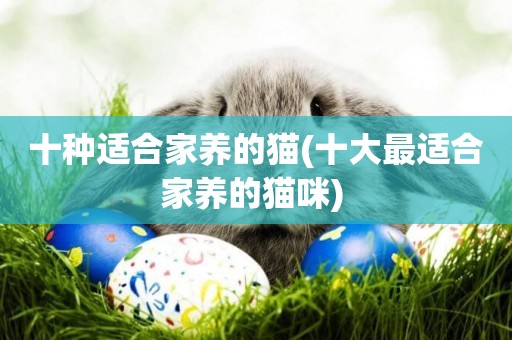 十種適合家養的貓(十大最適合家養的貓咪) 