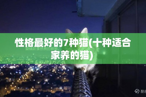 性格最好的7種貓(十種適合家養的貓) 