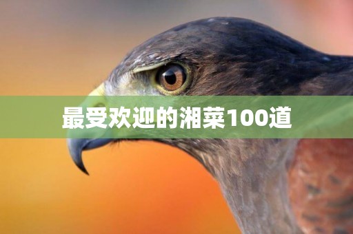 最受歡迎的湘菜100道