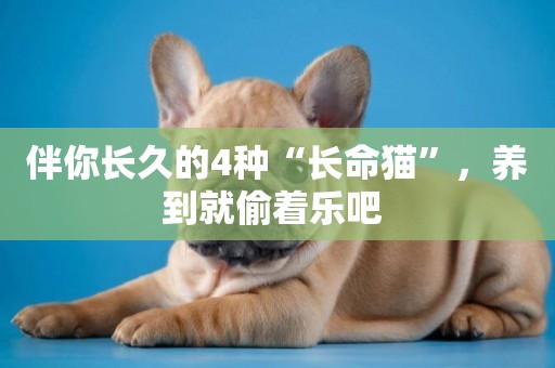 伴你長久的4種“長命貓”，養到就偷著樂吧 