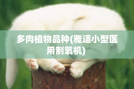 多肉植物品種(雅適小型醫用制氧機) 