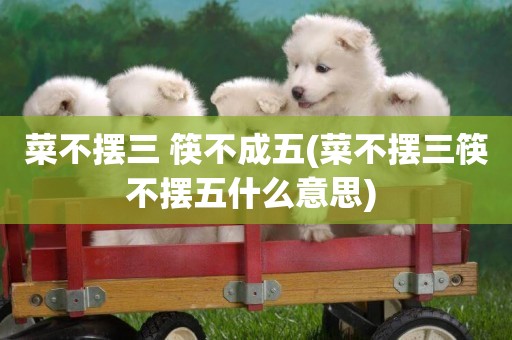 菜不擺三 筷不成五(菜不擺三筷不擺五什么意思) 
