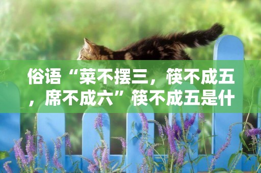 俗語“菜不擺三，筷不成五，席不成六”筷不成五是什么意思？ 