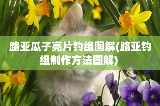 路亞瓜子亮片釣組圖解(路亞釣組制作方法圖解) 