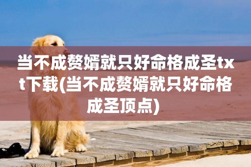 當不成贅婿就只好命格成圣txt下載(當不成贅婿就只好命格成圣頂點) 