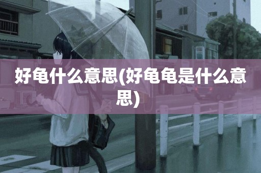 好龜什么意思(好龜龜是什么意思) 