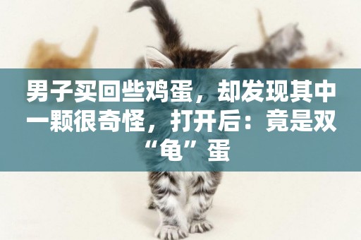 男子買回些雞蛋，卻發現其中一顆很奇怪，打開后：竟是雙“龜”蛋 