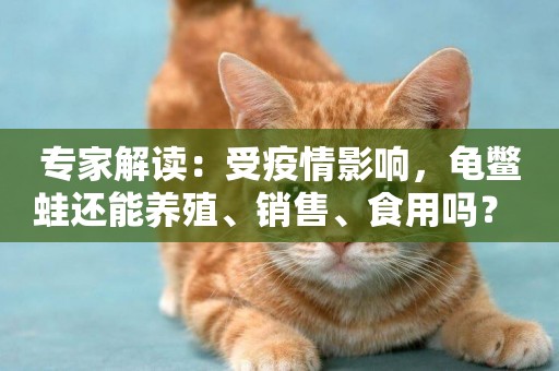專家解讀：受疫情影響，龜鱉蛙還能養殖、銷售、食用嗎？ 