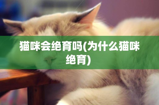 貓咪會絕育嗎(為什么貓咪絕育) 